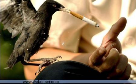 kolchi tabla ya latif